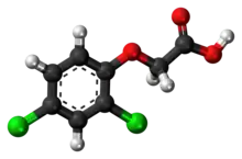 Ball-and-stick model of 2,4-dichlorophenoxyacetic acid