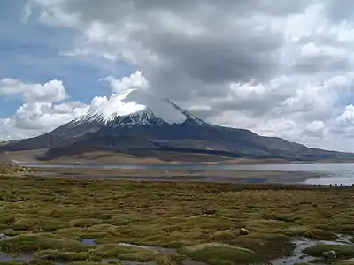 Parinacota and Chungará Lake