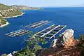 Fish farming, Argolic gulf