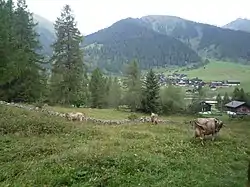 Landscape of Goms, here the village of Reckingen