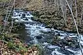 Along the Falls Trail