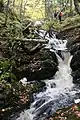 The cascade and flume between upper and lower falls.