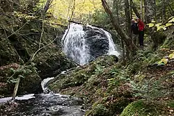 Lower Falls