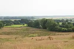 Farmland near Hude