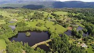 A group of ponds and meadows.