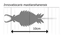 Size diagram