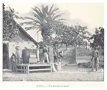 An outdoor maize mill, with people working