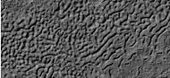 Surface of crater floor showing details from image taken with HiRISE, under HiWish program.  This may be a transition from one type of structure to a different, maybe due to erosion.