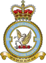 Squadron badge