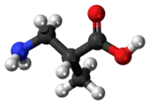 Ball-and-stick model of the 3-aminoisobutyric acid molecule