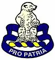 31st Infantry Regiment"Pro Patria"(For the Country)