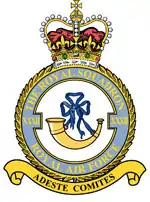 Squadron badge