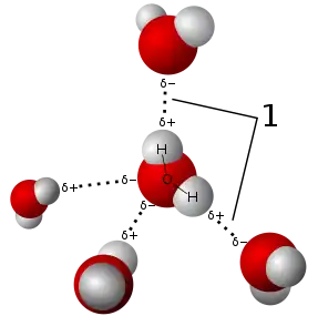 Image 7Model of hydrogen bonds (1) between molecules of water (from Properties of water)