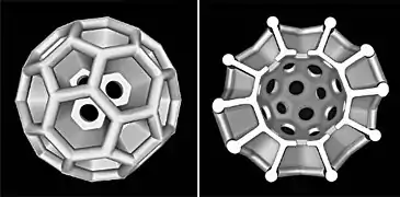 Brochosomes (secretory microparticles produced by leafhoppers) often approximate fullerene geometry.