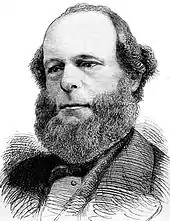 Balding man with a dark bushy beard