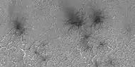 Close view of spider formations, as seen by HiRISE under HiWish program Polygon-shaped channels are also visible.