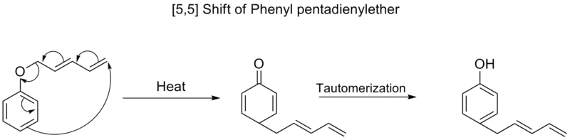 [5,5] shift of phenyl pentadienyl ether