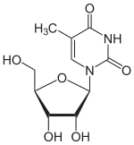 Skeletal formula of 5-methyluridine