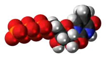 Space-filling model of the 5-methyluridine triphosphate molecule as an anion