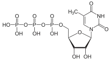 Skeletal formula of 5-methyluridine triphosphate