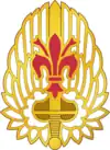 52nd Aviation Regiment