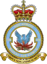 Squadron badge