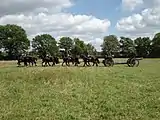 A 7 veld gun with caisson and horse team.