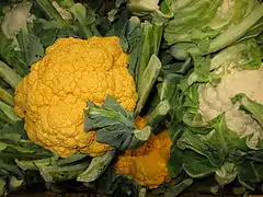 Orange cauliflower