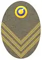 Hat badge (Mössmärke m/1940) for a captain in the army