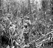 African American infantrymen patrol through the jungle