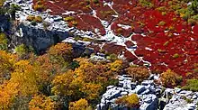 Aerial Photo of Bear Rocks at Dolly Sods, WV