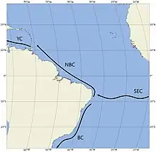 Low-latitude western boundary currents in Atlantic. The South Equatorial Current crosses the Atlantic at a latitude of 10 degrees South. On reaching Brazil, it splits into two: the southern branch goes along the Brazilian coast as the Brazil Current. The northern branch, or North Brazil Current, goes along the North Brazil coast, past Guyana, Surinam, and Venezuela. It stops just before the Caribbean. The current enters the Caribbean as the Yucatan Current, which goes along the south of the Caribbean Sea.