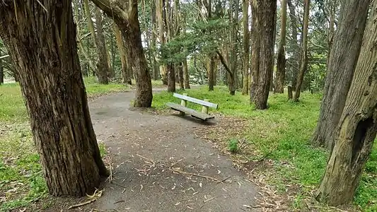 A bench for contemplation on Philosopher's Way, San Francisco