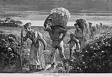 Matthew Somerville Morgan, A day's work ended, African Americans bringing cotton in from field, Alabama. Illustrated in Frank Leslie's Illustrated Newspaper, December 31, 1887