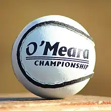 Image of a hurling sliotar