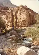 A rare stream in the desert