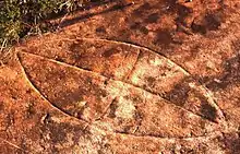 Rock carving in Garigal National Park