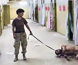 Image 5One of the photographs of the Abu Ghraib prison torture scandal: a naked prisoner being forced to crawl and bark like a dog on a leash. (from Nudity)