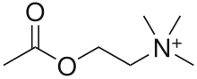 Acetylcholine