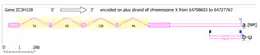 Aceview single-predicted mRNA variant in ZC3H12B.