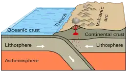 Subduction of an oceanic plate beneath a continental plate to form an accretionary orogen. (example: the Andes)