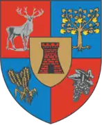 Satu Mare