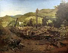 Felled Trees, 1913. Museu Nacional de Belas Artes