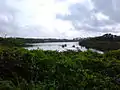 Adyar Creek at Foreshore Estate