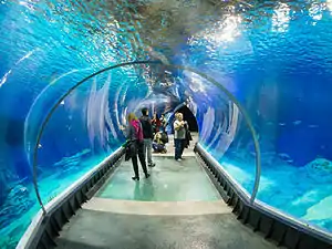 Africarium-Oceanarium (interior)