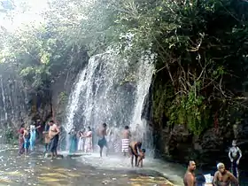 Agastiyar falls at Papanasam