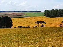 Image 29Brazil is the largest producer and exporter of soybeans in the world. Farm in Southern Brazil. (from Economy of Brazil)