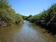 Clear water of the river in the springtime