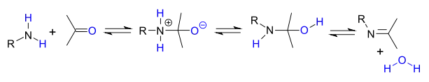 Alkylimino-de-oxo-bisubstitution