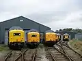 All six preserved Deltics at Barrow Hill Engine Shed